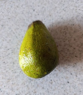 �������: ����������� ������ ���� �� ����� �����