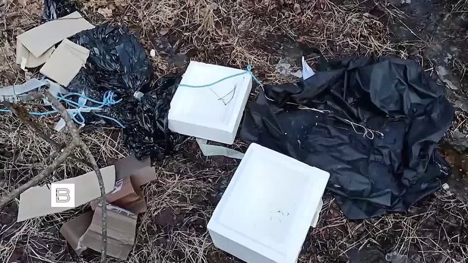 Задержанный за подготовку подрывов военной авиатехники проводил разведку на российских аэродромах во Владимирской, Ивановской областях, а также в Москве, сообщили в ЦОС ФСБ