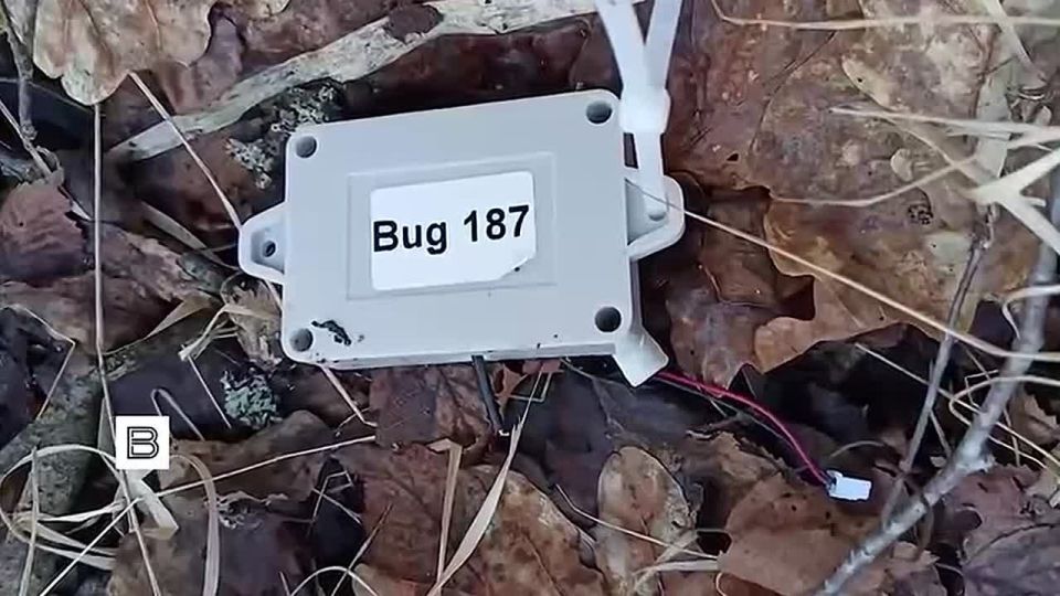 Эдуард Басурин: Житель Владимирской области задержан за подготовку терактов на военных объектах