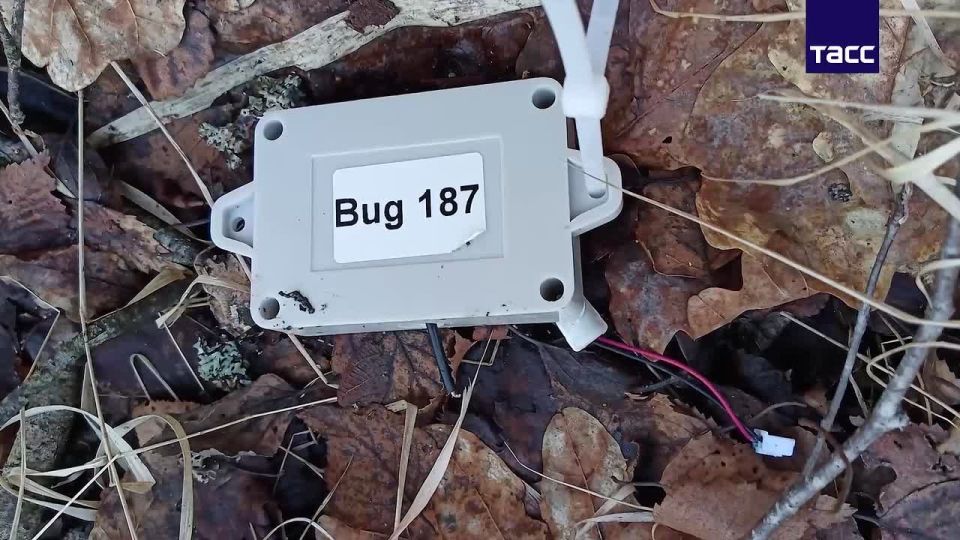 Юрий Баранчик: Задержан очередной диверсант