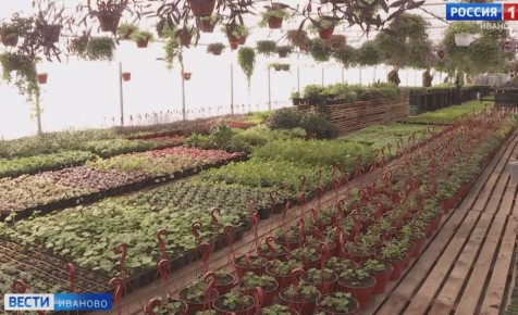 ������� ���������� ������� ���������� � ����������� ������� �������