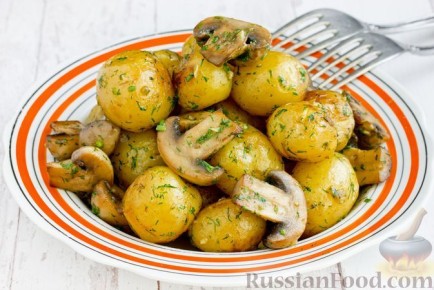 ������������� ������ ������� ��������: 5 ����� ��������