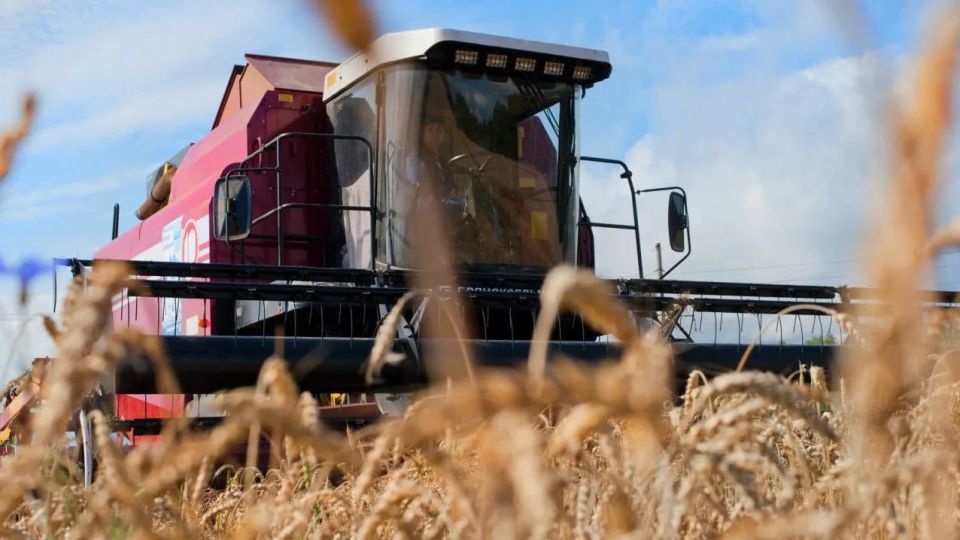 Аграриям региона возместят часть затрат на производство и реализацию зерновых культур