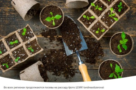 ������ ��������� ������-��������� ����� � 20 �� 26 �����