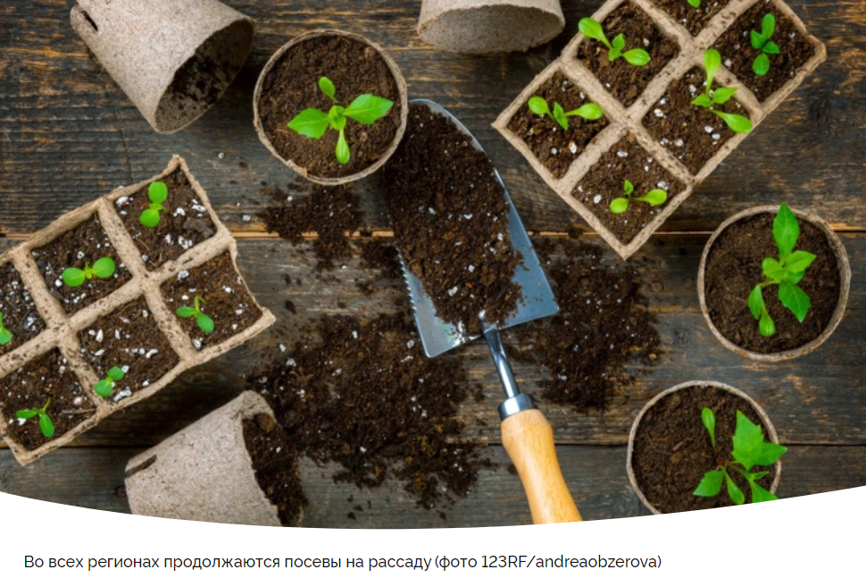 Лунный календарь садово-огородных работ с 20 по 26 марта