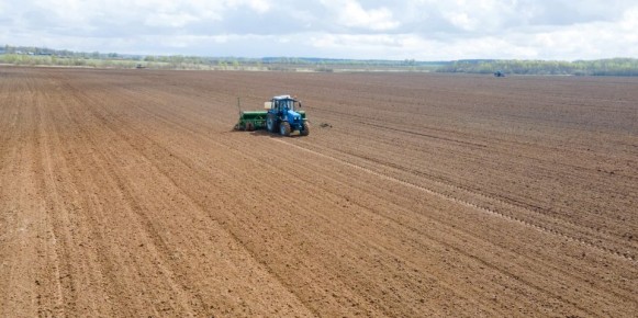 Посевные площади в Ивановской области планируют увеличить почти до 190 тысяч га