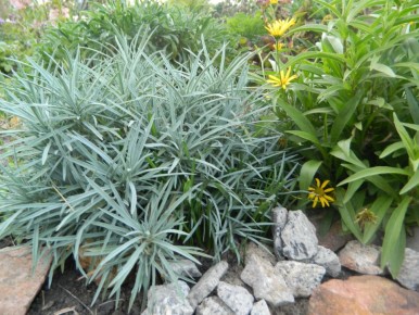 �������� � ����: ����� ����� ������� ��� ������ ��������