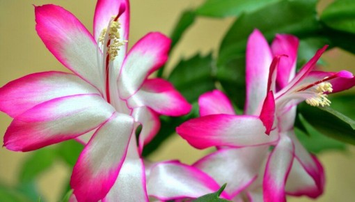 ����� ��������� ����������, ����� ��������� ������ � ������� ���� ������� ���