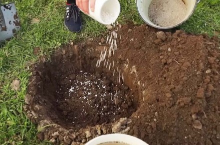 ������ ������ ������� �������� ������: ��� ����� �����