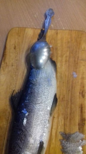 Новый способ чистки рыбы: простота и удобство