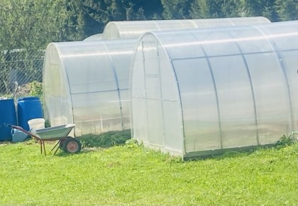 ��� ������� � ���������� ��������� ������� ��� ��������� ������