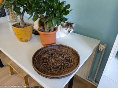 �������� ������������� ��������: ���������, ������� �����������