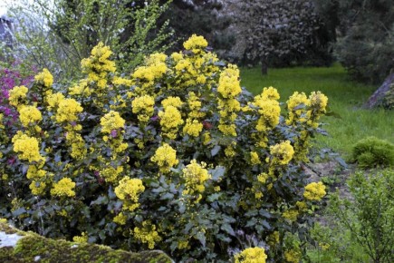 �������: ����� ��������� ����� � �����