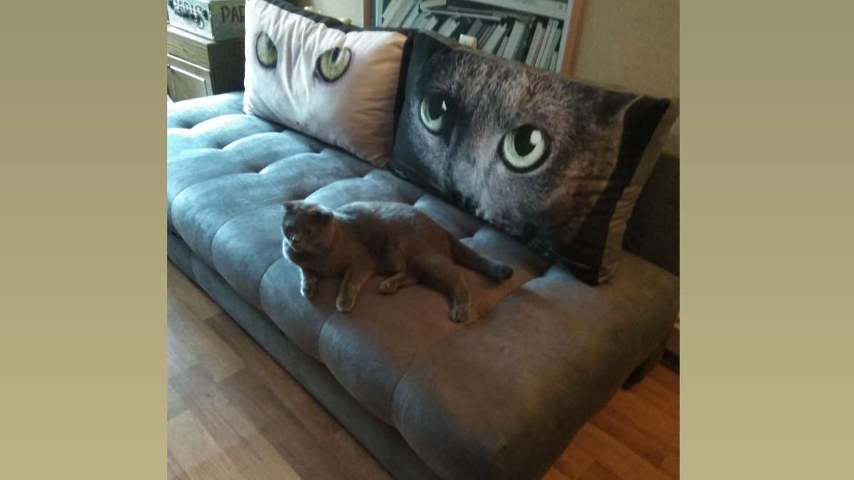 Не спешите с химчисткой: простые способы очистки дивана своими руками