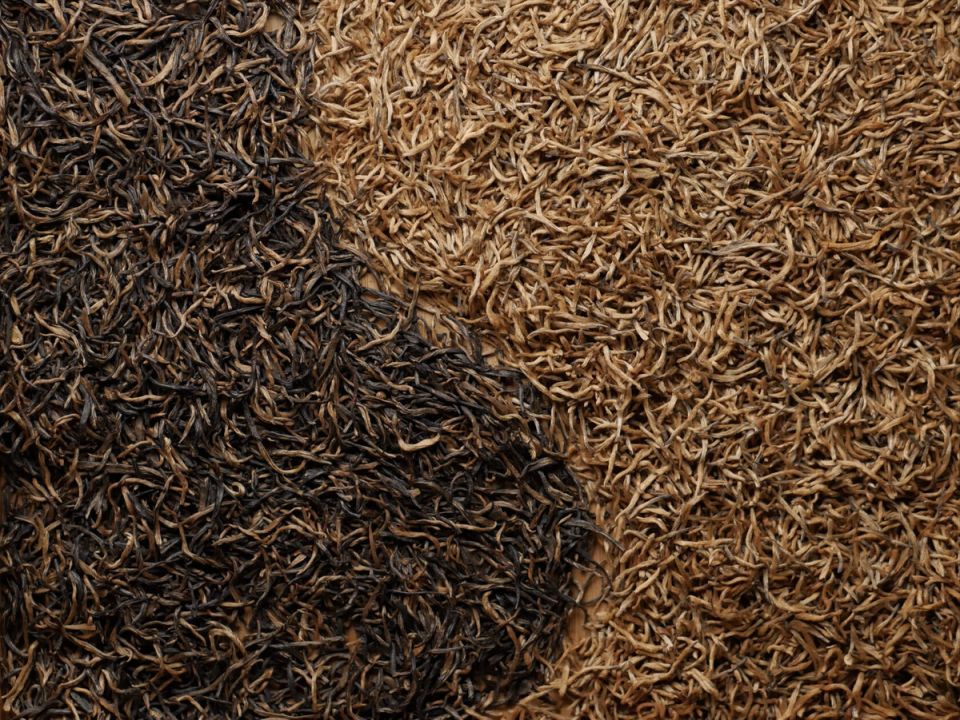 ��� ����� ��� ����� ���: ���, ������� ����� �����