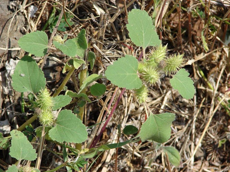 ��� ����� �������� ����� ����� ������ ��������� � ������ � ���������