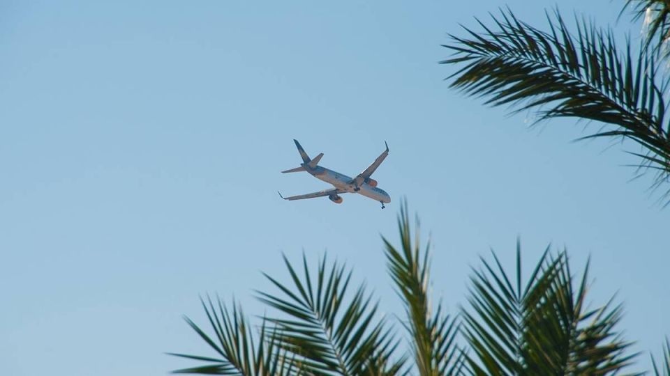 ��� ������ ������� ������������ ��������� ������� � �������� �������