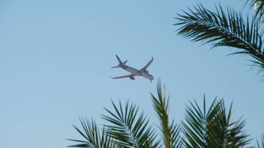 ��� ������ ������� ������������ ��������� ������� � �������� �������