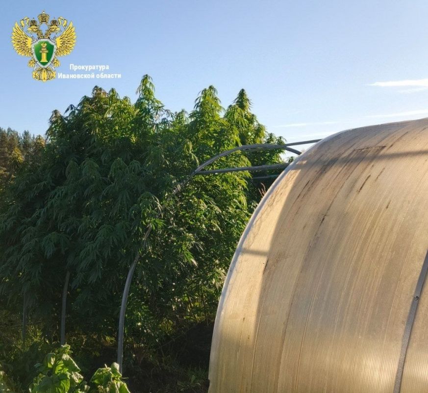 ������ ���������� ������� �������� � ����� ������� 4 ���������� �������