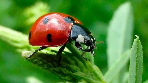 ��� ����� ������� ����� ������ ��� ��� �� ����������