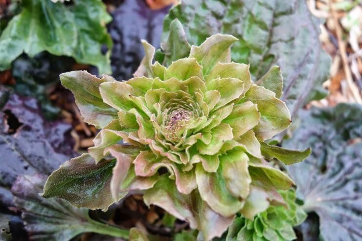 ������������ ����������: ����� ������� ��� ������ ����