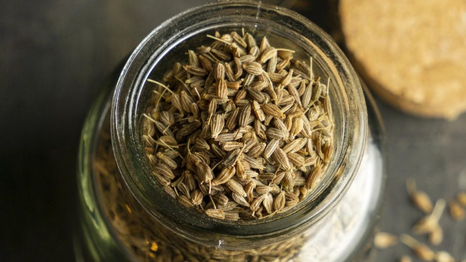 ����: �������� �������� � ������� ������������