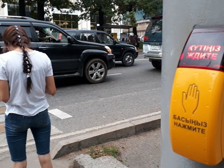 ������� ��� ���������: ����� ��������������� �������� � ����������