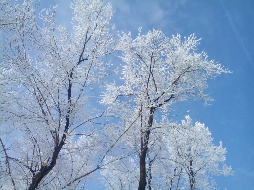 ������ �����: ������� ���� � ��������� ������ � 23 �� 29 �������