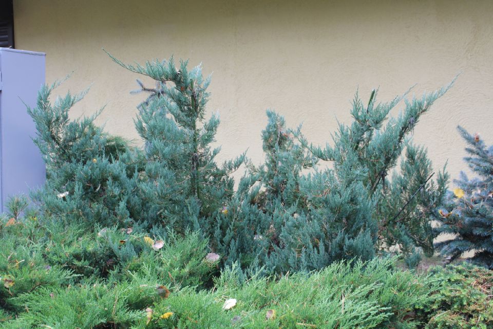 ��������� ����� �������������: ��� �� �� �� ����� ����?