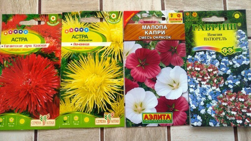 ����� ��� ������: ��� ������ �� ������� � � �����