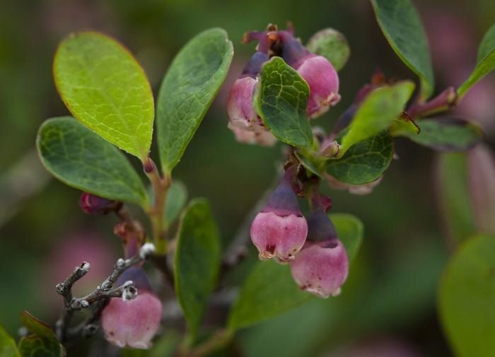 ��� ������� ��������� ������� ��� ��������: ������� ���������� �����