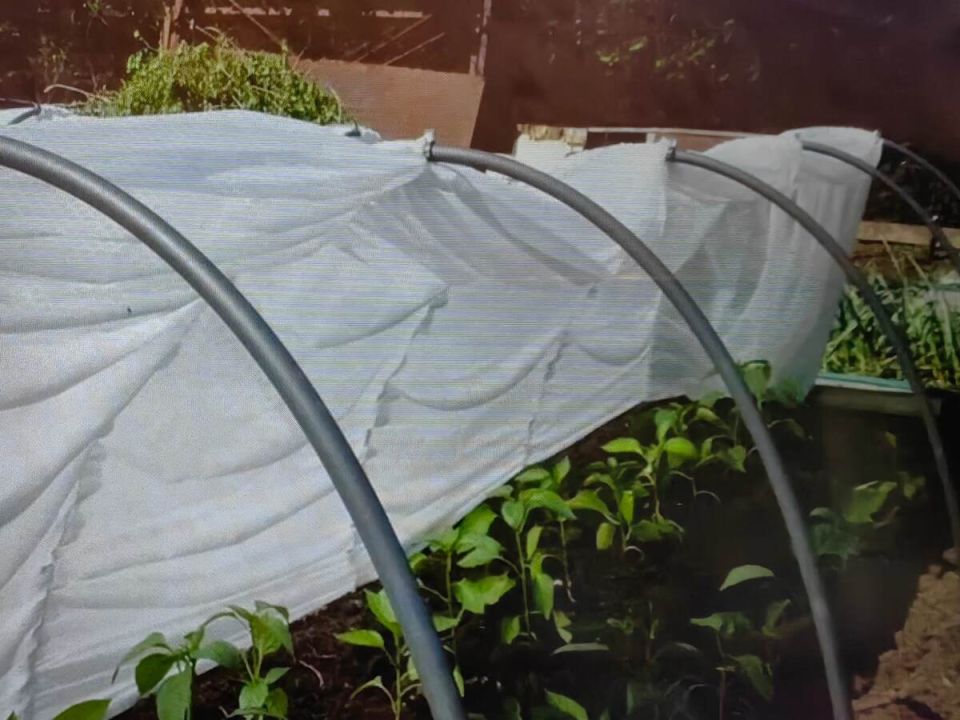 ������ ����������� �������� ������ �� ��� ������: ��� �������� ������������ ��������