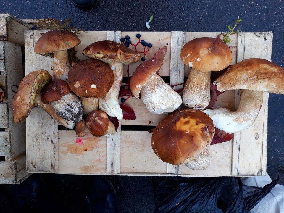 ��� ��������� �������� �������� �����: ������ ��������