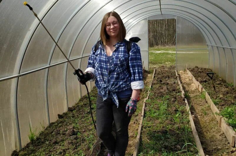 ��� ��������� ����������� ��������������� ������� � ����: ������� ������