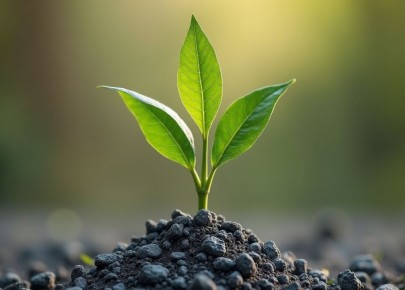 Как зольные растворы могут преобразить ваш сад: секреты и советы