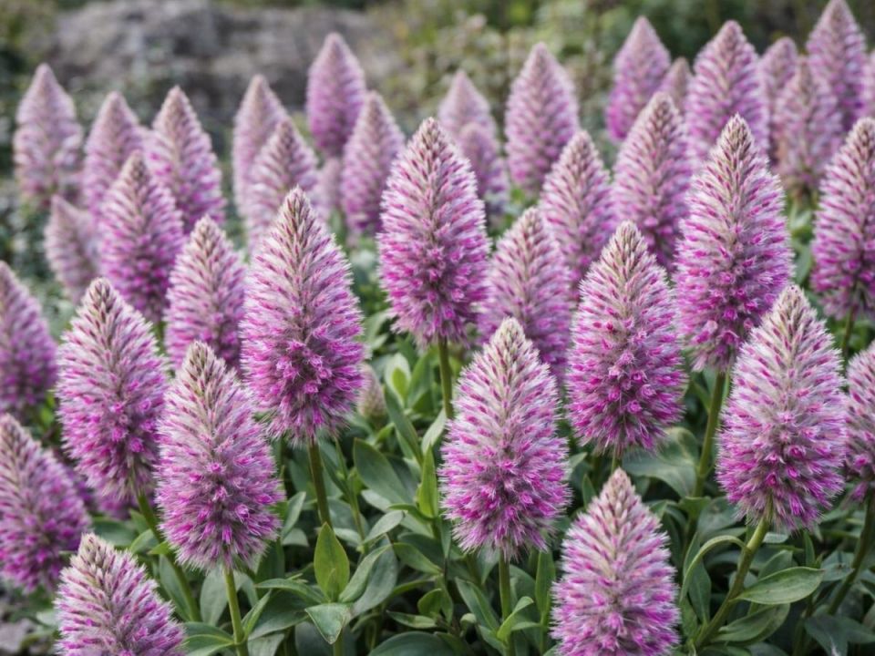 ����� �������: ��� �������� �������� ���� � ��������