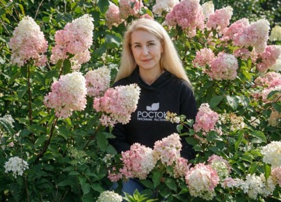 ��� ������� �������� ����� � ������� ���������: 4 ����� ��� ������ ����