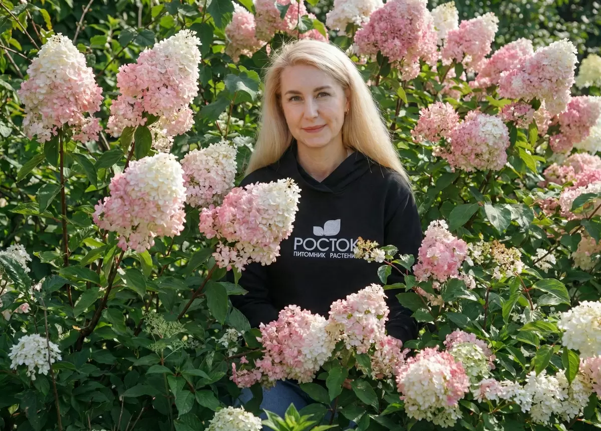 Как создать цветущую стену с помощью гортензий: 4 сорта для вашего сада