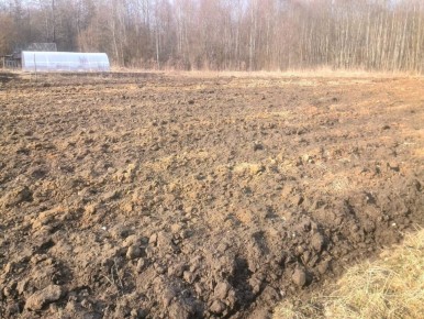 Весенние секреты уборки на огороде: что нужно знать