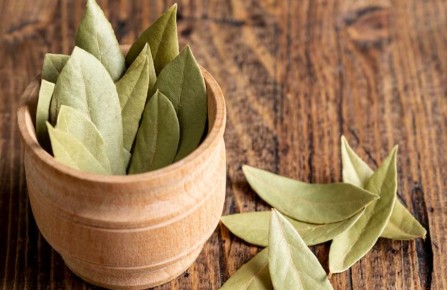 Как лавровый лист стал настоящим спасителем в быту: неожиданные способы его использования