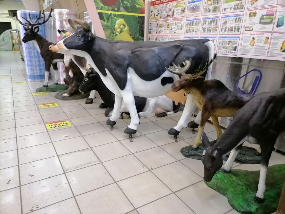 ������������� ������� ����� ��� ����: ��� ����� ����� ����� ��������