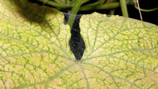 ������� ������ �� ���������� �����