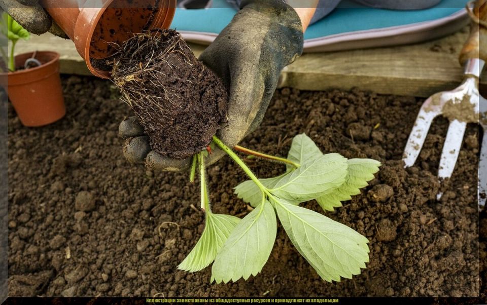 ��� ��������� ���������� �������� ������: 11 �������� ��� ������� ������