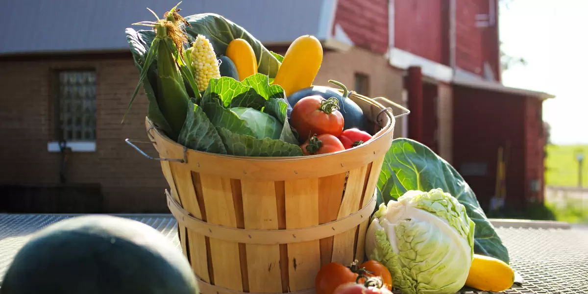 Фермерские продукты: стоит ли платить больше за натуральность?