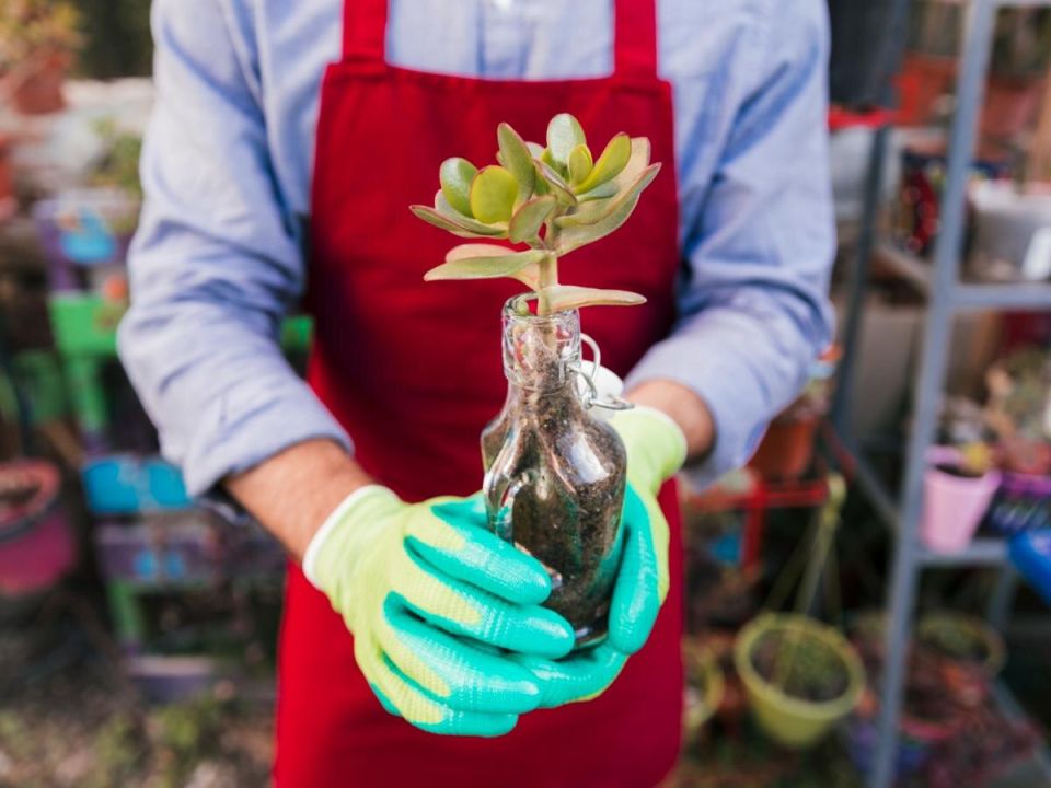 ��� ���������� ������� ��������: ������� ��������� ������������