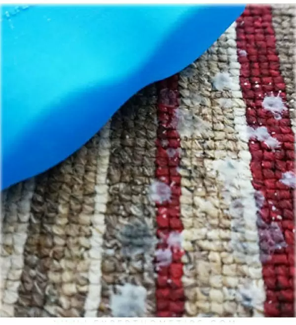 Не паникуйте! Как вернуть ковер к жизни после шоколадного происшествия