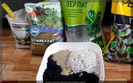 ��� ��������� ����������� ����� ��� �������: ������ � ������������