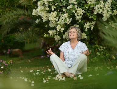 ��������������� ���: ��� ������� ��������������� ����������� ��������