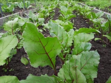 ����� �������� �������? ��� ����� � ������� ������