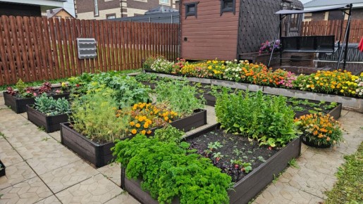 ������ ����� �� ��������� ����� ���� �������� �������� ��� ������ �������